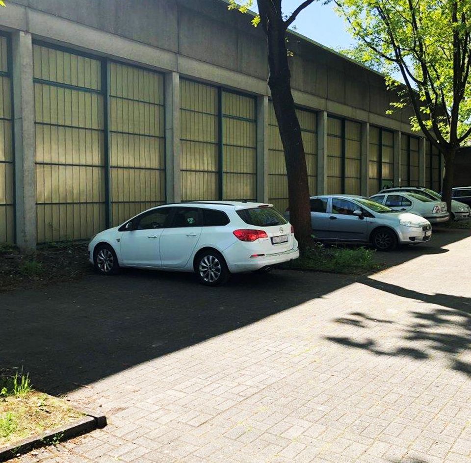 Sanierung der 3-fach Sporthalle Sekundarschule Königsbrügge