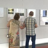 Personen schauen sich Text- und Bildtafeln in einer Ausstellung an.