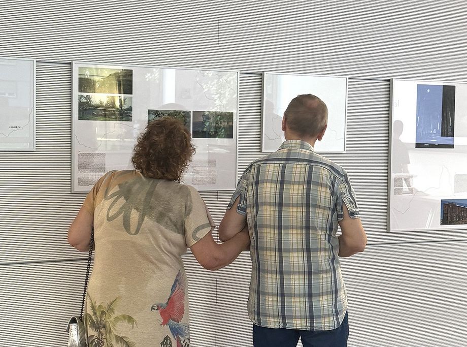 Personen schauen sich Text- und Bildtafeln in einer Ausstellung an.