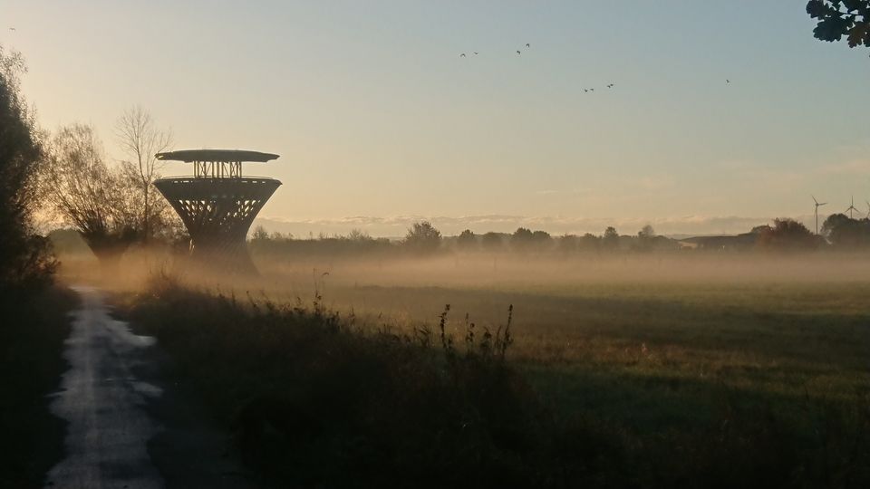 Aussichtsturm im Naturschutzgebiet