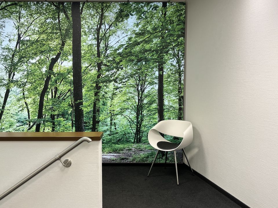 Umbau Ladenlokal in ein Hörgerätestudio