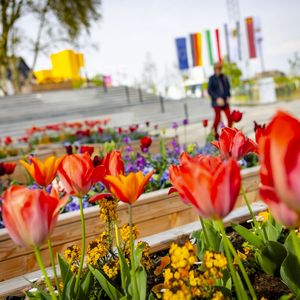 Fachtagung: Landesgartenschau als Motor der Stadtentwicklung