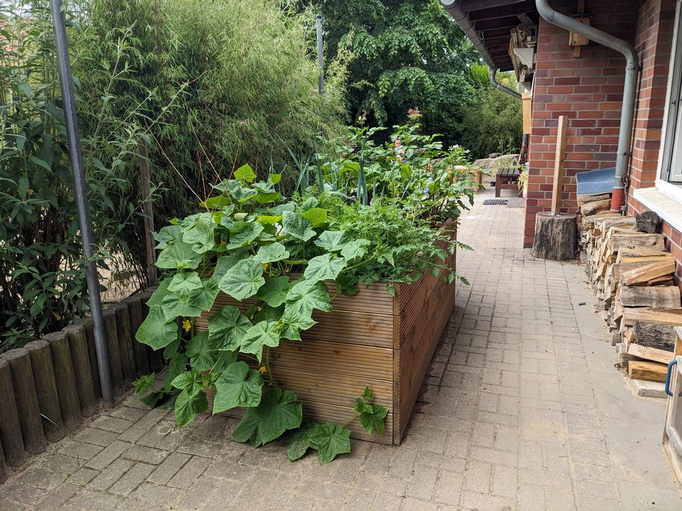 Das naturnahe Außengelände in der Kita Im Rott