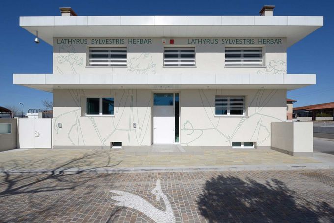 Mitglied Bettina Bertossi