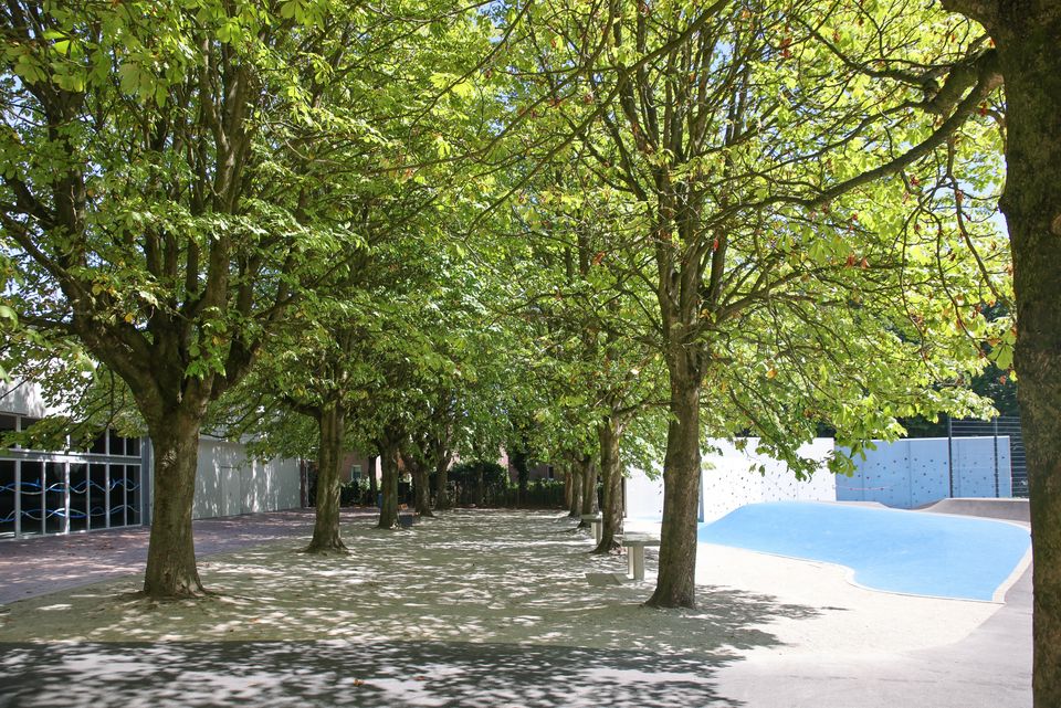 Neugestaltung Freizeitanlage Aasee Bocholt